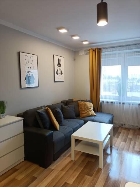 Family & Business Elegant Apartments Rynek Centrum Downtown - 2 Bedroom, Balcony, Parking Kielce Luaran gambar