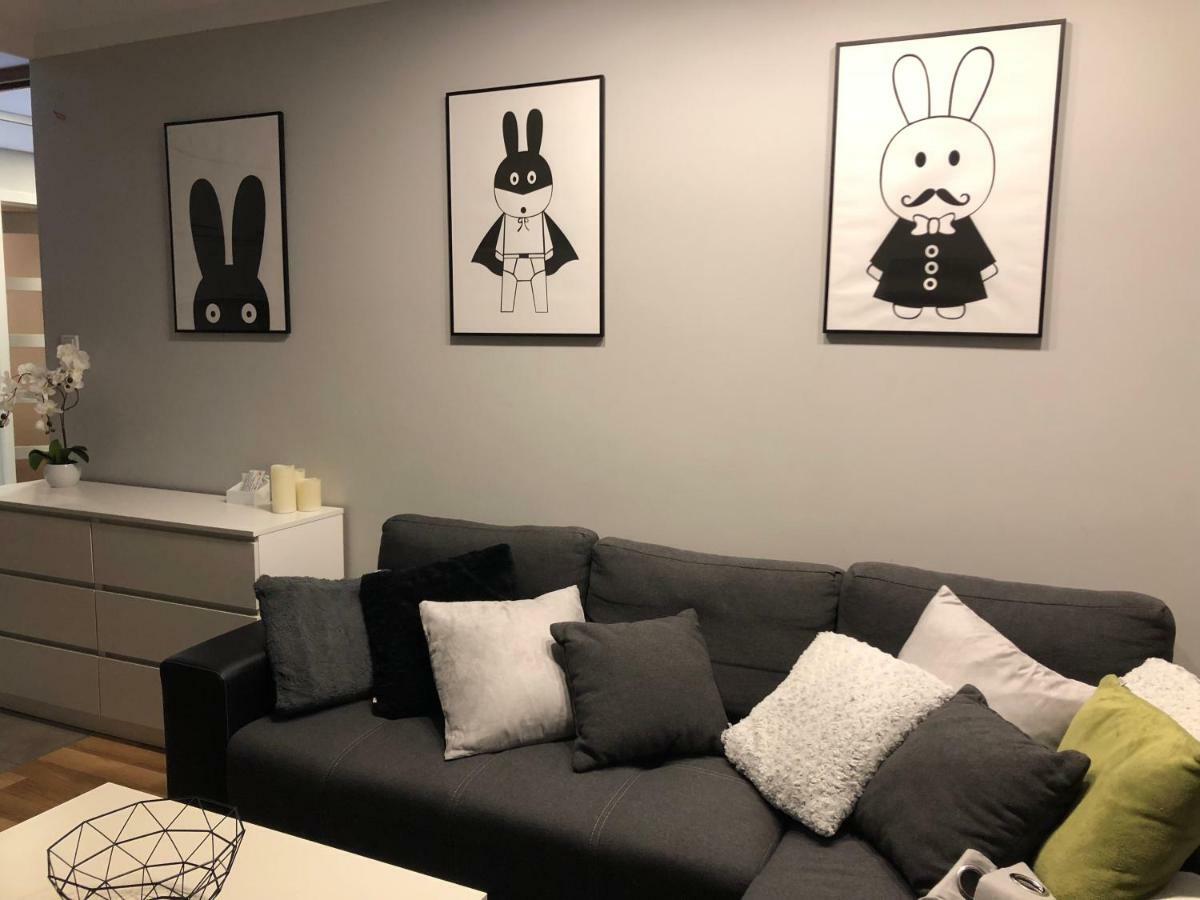 Family & Business Elegant Apartments Rynek Centrum Downtown - 2 Bedroom, Balcony, Parking Kielce Luaran gambar